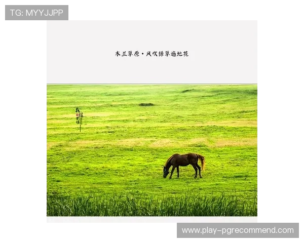 PG娱乐吧积极响应国家文化政策，推动绿色健康娱乐产业发展