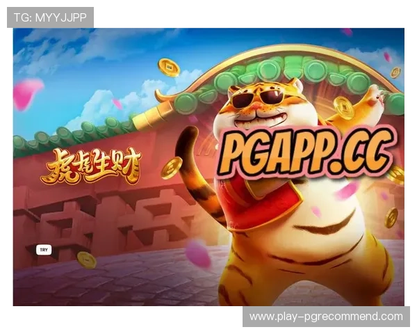 官方授权PG电子平台入口，确保账号安全与游戏公平性全面保障